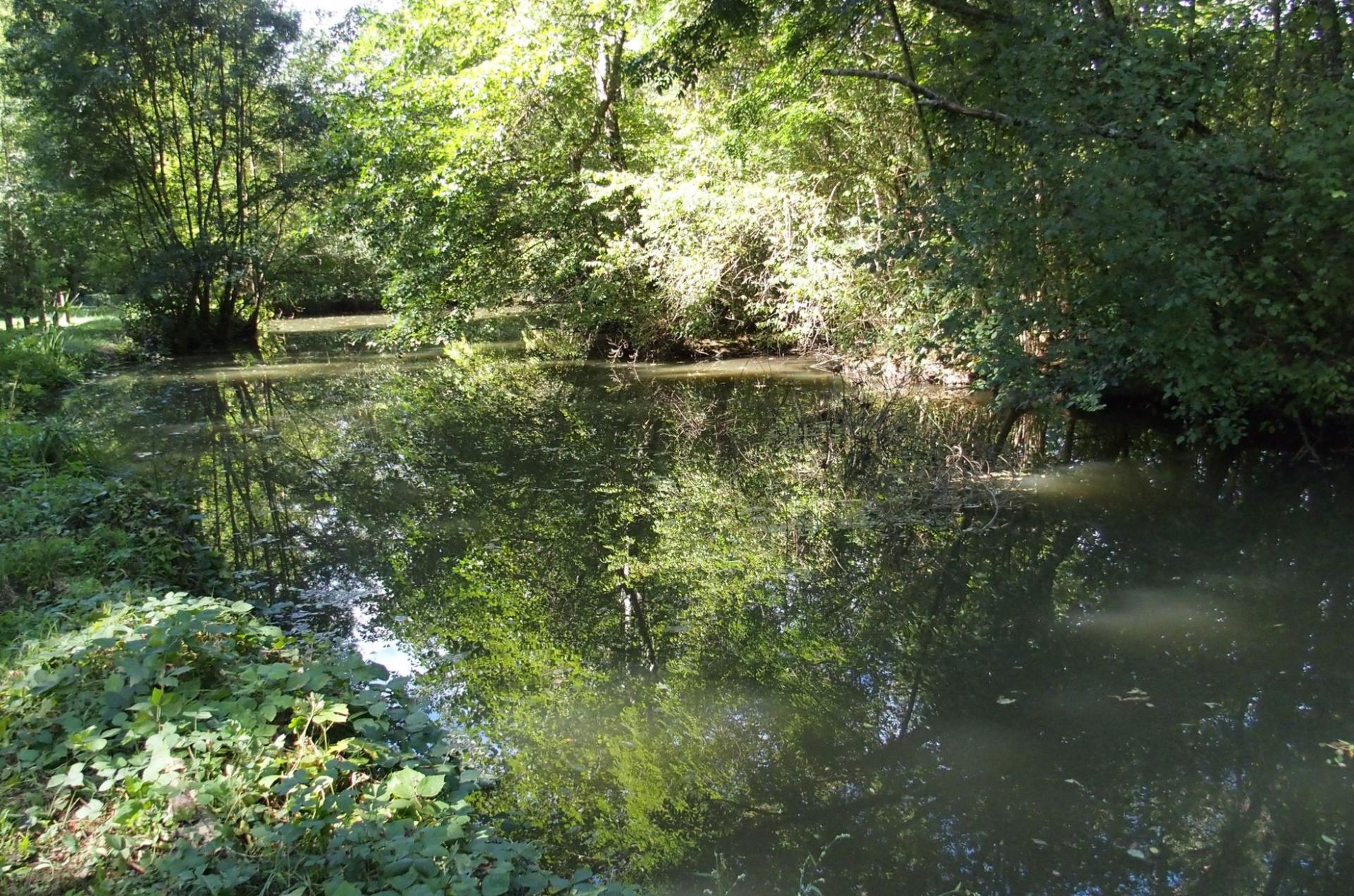 parc du Moron