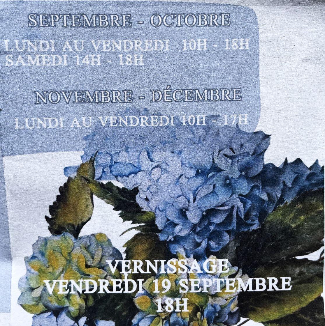 St estephe m