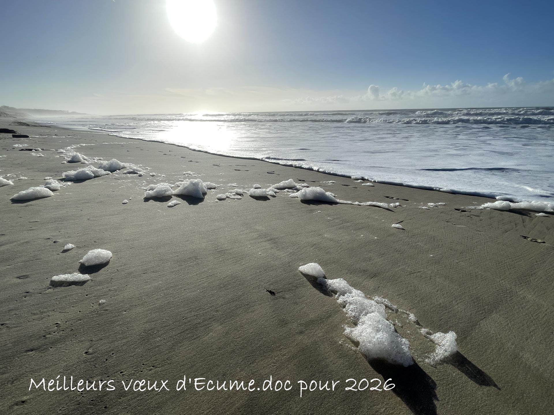 Voeux ecume 26